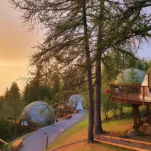 Alpin D'home & Hotel